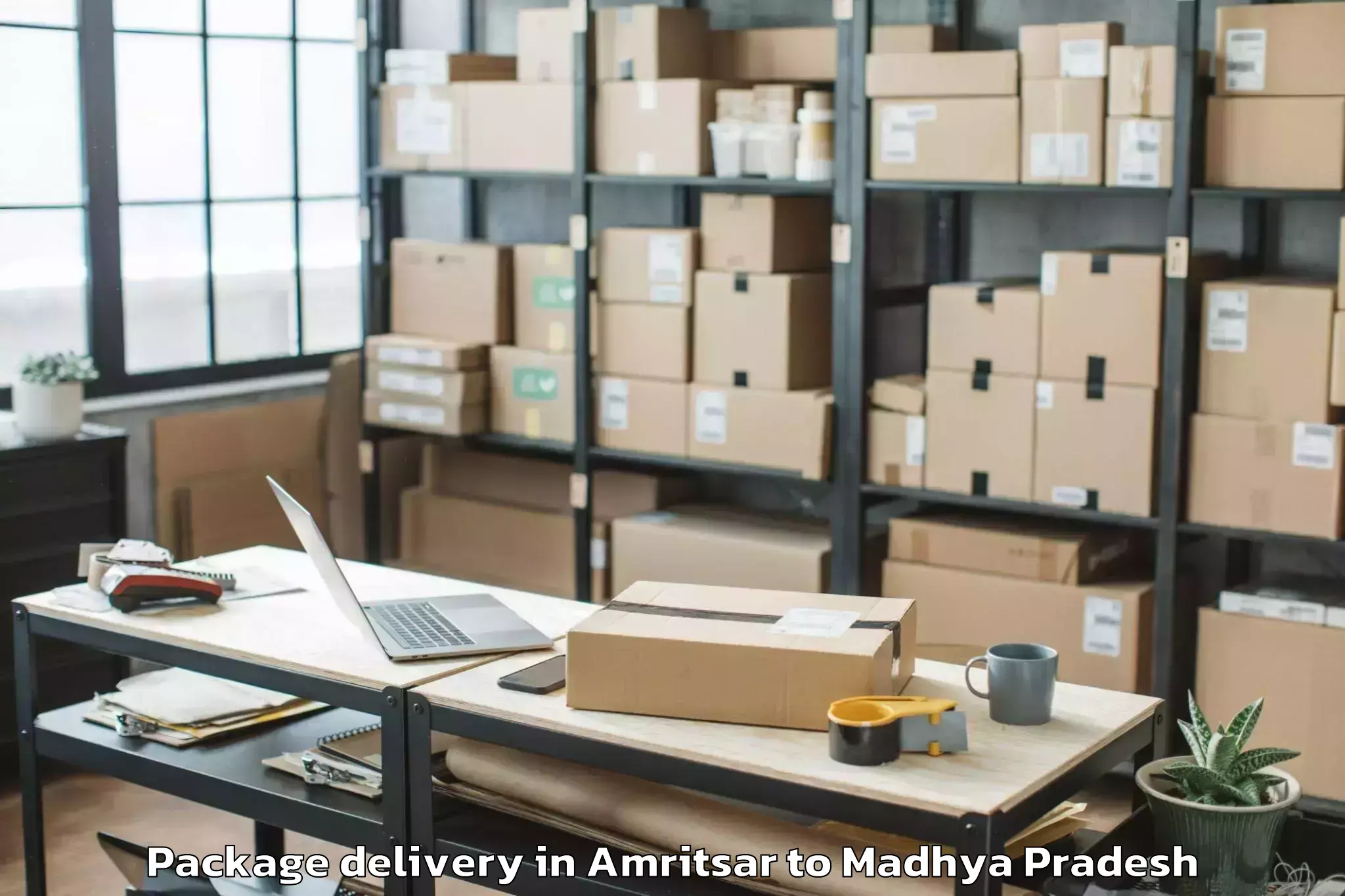 Professional Amritsar to Jawaharlal Nehru Krishi Vishwa Package Delivery